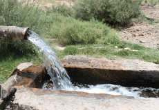 مدیریت آب اراضی پاییزه طرح ۵۵۰ هزار هکتاری به ۲۰ شرکت واگذار می‌شود