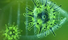 ۳۵۷ فوتی جدید کرونا در کشور / ۳۴۹۵۱ بیمار دیگر شناسایی شدند