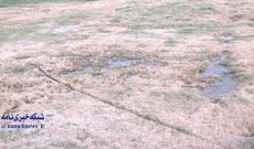 از نداشتن پمپ آبیاری تا فرار از مسئولیت اداره چمن ورزشگاه تختی