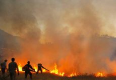مهار آتش در منطقه حفاظت شده کرایی؛ نفوذ آتش از زمین‌های زراعی