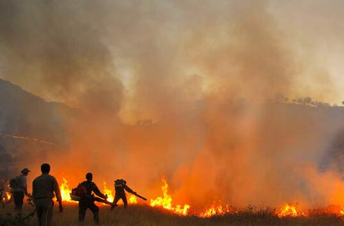مهار آتش در منطقه حفاظت شده کرایی؛ نفوذ آتش از زمین‌های زراعی