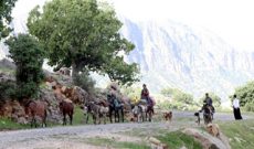 کوچ قشلاقی عشایر شوشتر آغاز شد