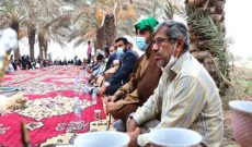 جشنواره برداشت برنج در شوشتر برگزار شد