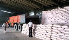 توزیع ۱۴ هرار تن کود شیمیایی در شوشتر