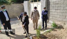 کاشت نهال در شوشتر