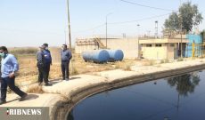 بررسی شرایط زیست محیطی در شرکت کشت و صنعت امام خمینی