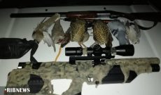 دستگیری یک گروه شکارچی غیرمجاز در شوشتر