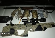 دستگیری یک گروه شکارچی غیرمجاز در شوشتر