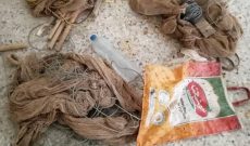 صیاد زنده گیری بلبل خرما در شوشتر به دام افتاد