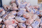 توزیع مرغ دولتی در شوشتر آغاز می‌شود