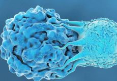 دستاورد جدید دانشمندان: توسعه درمانی برای سرطان مغز استخوان با عملکرد موفق روی ۷۳ درصد بیماران