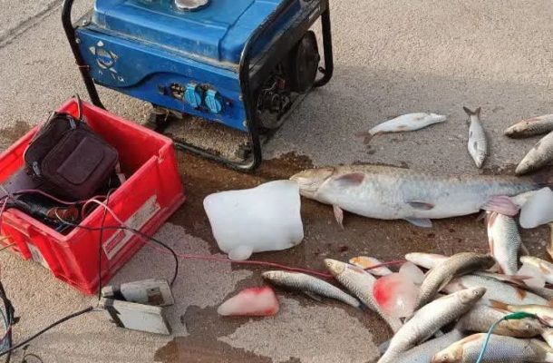 متخلف صید ماهی با شوک الکتریکی در شوشتر دستگیر شد