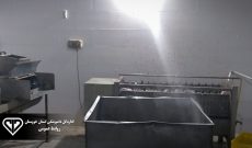 راه اندازی دستگاه تمام مکانیزه فرآوری کله و پاچه در کشتارگاه سنتی دام شهرستان شوشتر