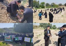کاشت ۲۰۰ درخت به مناسبت روز درختکاری در آموزش و پرورش شوشتر