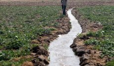 مشکلی در تامین آب کشت‌‌های پاییزه در خوزستان وجود ندارد