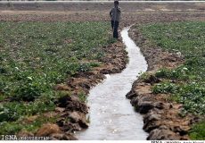 مشکلی در تامین آب کشت‌‌های پاییزه در خوزستان وجود ندارد