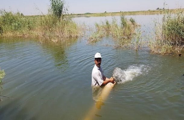 رهاسازی چهار هزار قطعه بچه ماهی بومی در رودخانه شطیط شوشتر