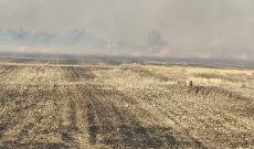 ۶ هکتار مرتع و جنگل در شوشتر در آتش سوخت