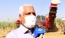 شرکت کشت و صنعت امام خمینی (ره) شوشتر به عنوان واحد صنعتی سبز کشور انتخاب شد