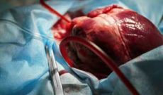 اهدای اعضای مدافع حرم شوشتری؛ چهار نفر را از مرگ حتمی نجات داد