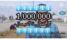 بررسی وعده کاشت یک میلیون گل در معابر شوشتر/ بازی با آمارها ادامه دارد