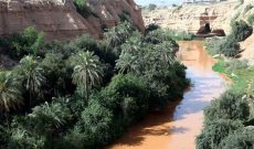 ضرورت تعیین حقآبه سازه های جهانی آبی -تاریخی شوشتر