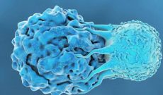 دستاورد جدید دانشمندان: توسعه درمانی برای سرطان مغز استخوان با عملکرد موفق روی ۷۳ درصد بیماران