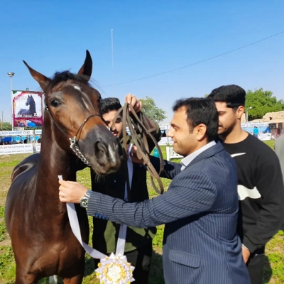 اهدای جوایز مسابقات اسب اصیل ایرانی توسط سرپرست شهرداری شوشتر