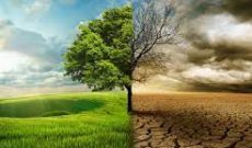 سوانح ناشی از تغییرات اقلیم در جهان افزایش می یابد