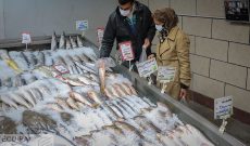 افت تولید قزل آلا و صعود قیمت آن / کف قیمت ۱۰۵ هزار تومان