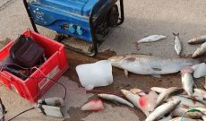 متخلف صید ماهی با شوک الکتریکی در شوشتر دستگیر شد